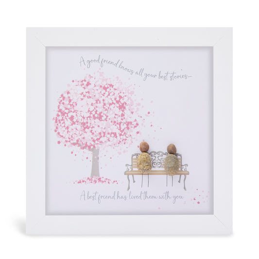 Midi - Friendship - A good friend knows all your best stories, a best friend has lived them with you 
