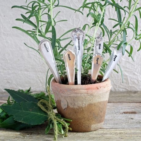 Set Of Six Personalised Vintage Herb Markers