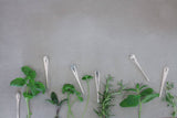 Set Of Six Personalised Vintage Herb Markers